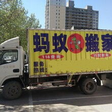 专业、高效、省心——邯郸市邯山区蚂蚁搬家渚河路服务部，您的理想搬家伙伴